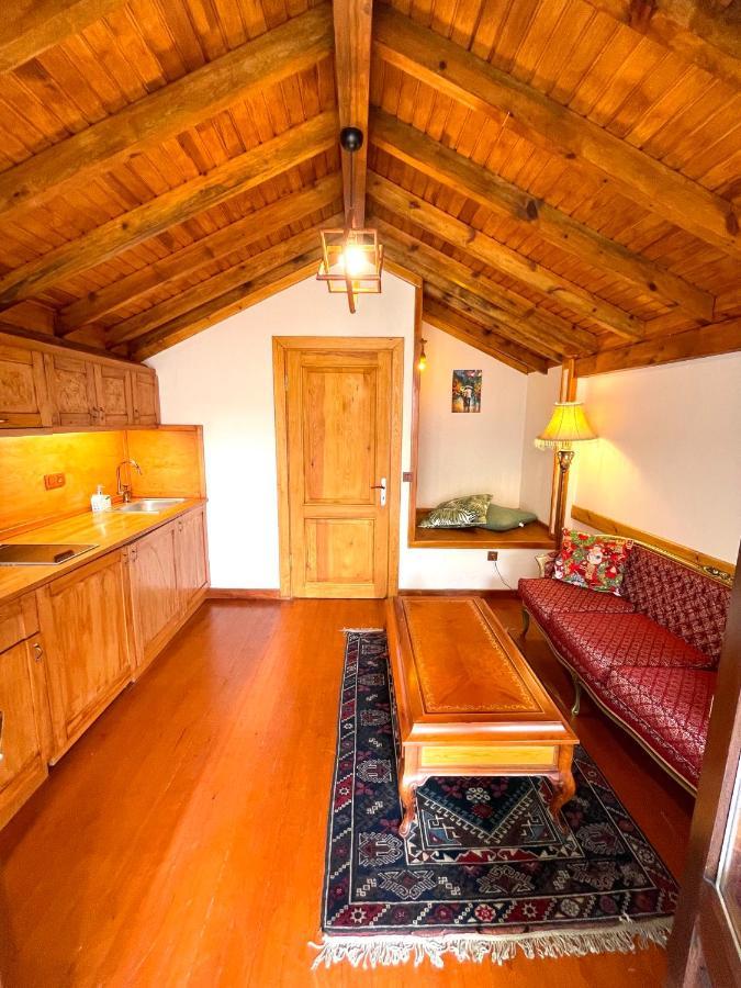 Authentic Turkish Family Aparthotel Istanbul